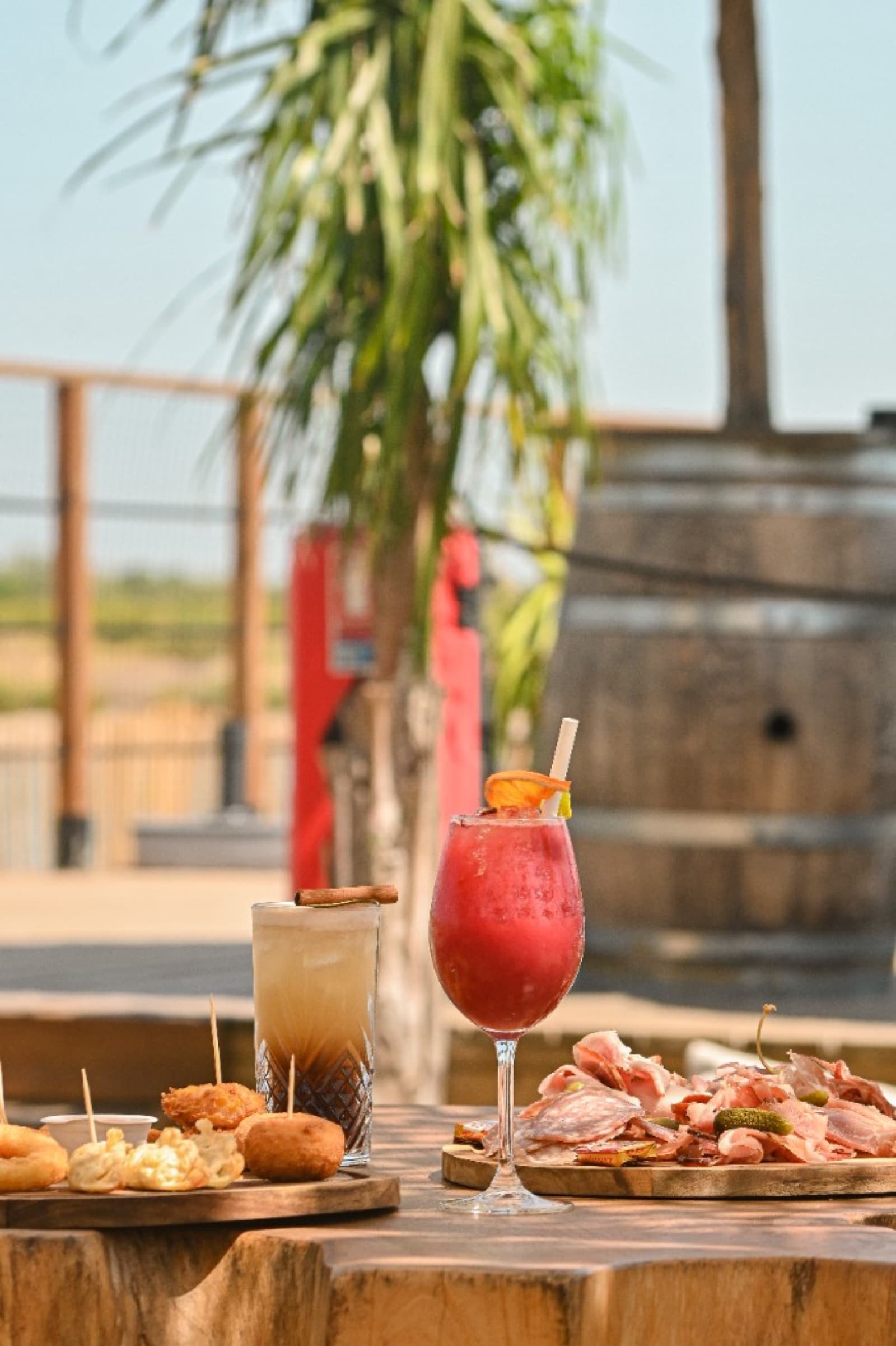 Tapas frits, planche de charcuterie et cocktails face à la Camargue