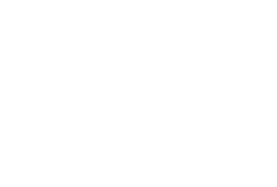 Paillote Paradise
